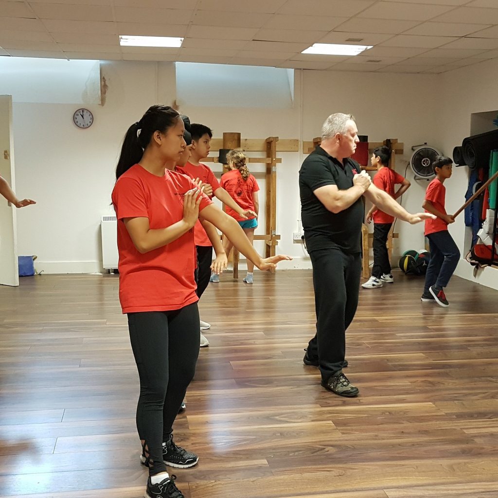 Mastering Wing Chun Kung Fu 1 Wing Chun Kung fu little dragons